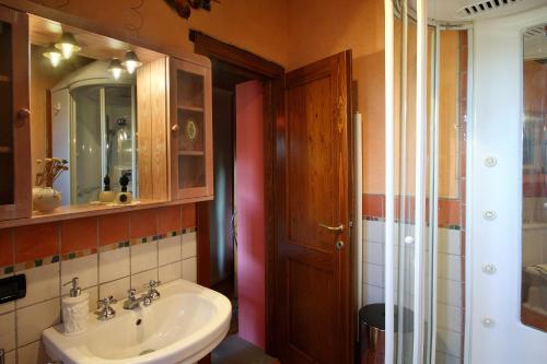 een badkamer met een wastafel, een spiegel en een douche bij Camera Rosa in Borgo a Buggiano