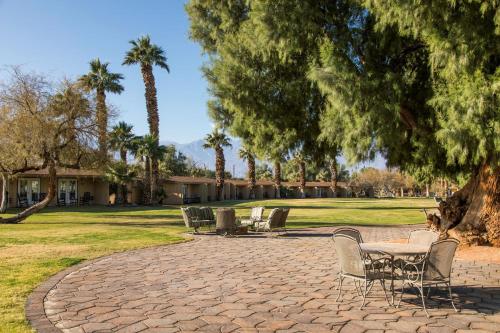 a group of chairs sitting in a park with palm trees at The Ranch At Death Valley in Death Valley