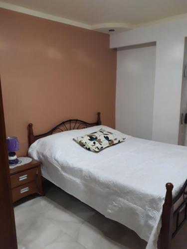 Un dormitorio con una cama con una manta. en Appartement Akid Lotfi Oran, en Orán