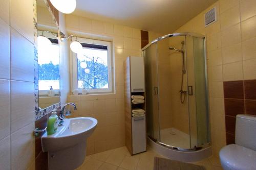 La salle de bains est pourvue d'une douche, d'un lavabo et de toilettes. dans l'établissement Villa Turris, à Muszyna