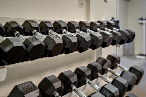 a row of dumbbells lined up in a gym at Scottsdale Parkview in Scottsdale
