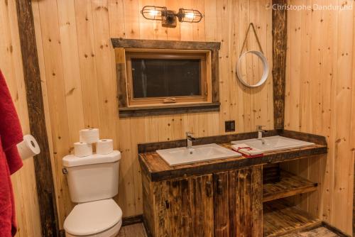 a bathroom with a toilet and a sink and a mirror at Le Trappeur - Les Chalets Spa Canada in La Malbaie