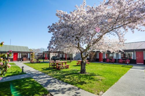 a tree in a park with picnic tables and benches at Christchurch Park Motel in Christchurch