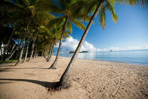 a row of palm trees on a beach with the ocean at Sarayi Boutique Hotel in Palm Cove