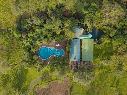 Πισίνα στο ή κοντά στο Malekus Mountain Lodge
