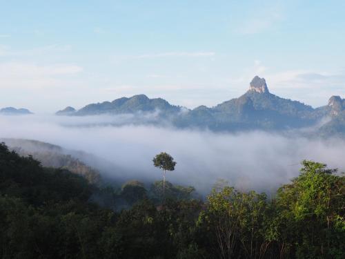 a misty valley with a tree and mountains in the background at Por Sampao Camp&Resort in Ban Pha Saeng Lang