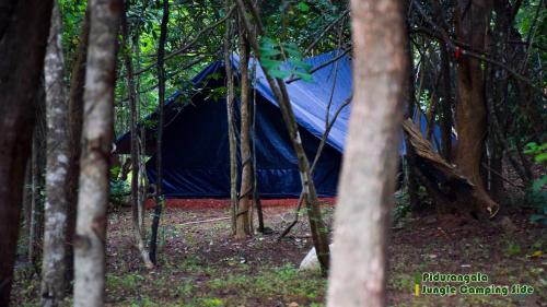 Galeriebild der Unterkunft Sigiri Jungle Camping in Sigiriya