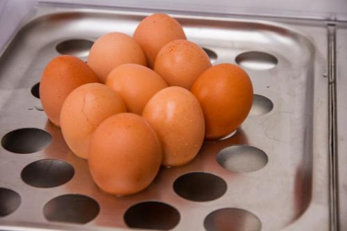 Φωτογραφία από το άλμπουμ του Hotel Nelson στο Ριτσιόνε