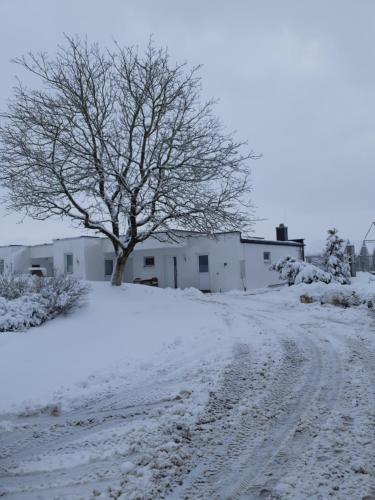 Geinberg Suites & Via Nova Lodges en invierno