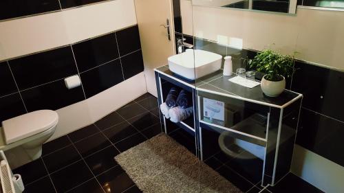 - une salle de bains en noir et blanc avec lavabo et toilettes dans l'établissement Villa Ruhige Lage, à Rakovica