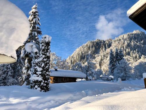 a snow covered tree in front of a cabin at Brunnenhof Oberstdorf - Ferienwohnungen mit Hotel Service in Oberstdorf