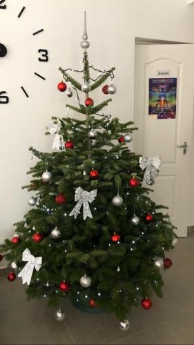 a christmas tree in a room with a clock at Boró Apartman in Tiszafüred
