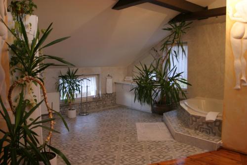 a bathroom with potted plants and a bath tub at Villa Ambra in Osowa