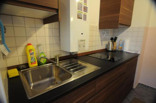 eine Küche mit einer Spüle und einer Arbeitsplatte in der Unterkunft Freiburg Apartment in Freiburg im Breisgau