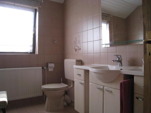a bathroom with a toilet and a sink at Meyer in Soltau