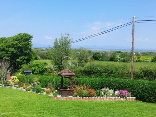 Zahrada ubytování Mount Edward Lodge