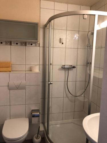 uma casa de banho com um chuveiro, um WC e um lavatório. em Hotel-Restaurant Gasthof zum Schützen em Baiersbronn