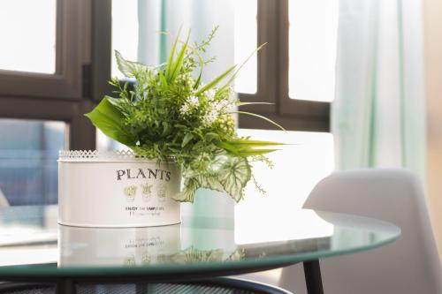 a plant in a can on a glass table at Matarolux15 in Mataró