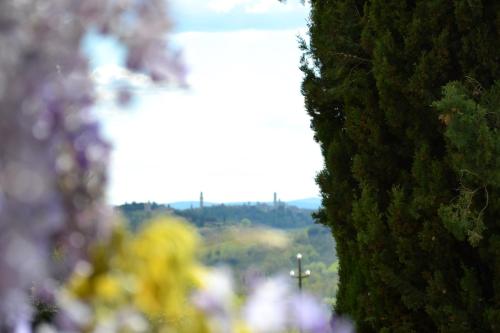 a view of a field through some bushes at Certosa di Pontignano Residenza d'Epoca - Place of Charme in Ponte A Bozzone