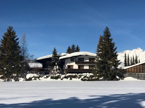 L'établissement Hotel Menthof en hiver