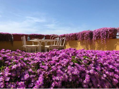 Un jardín fuera de Palazzo Sassi