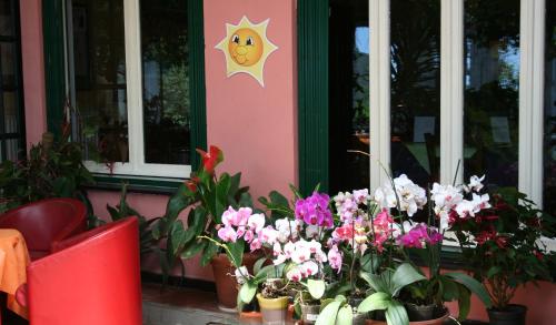 a bunch of flowers sitting in front of a building at Hotel 5 Terre Nel Sole in Deiva Marina