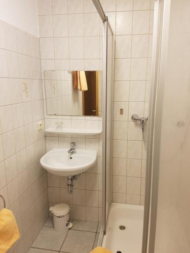 a bathroom with a sink and a toilet and a shower at Pension und Bauernhof Petzold in Greiz