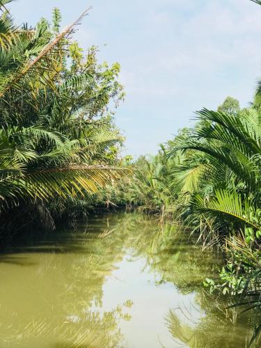 a river with palm trees on the side of it at Ba Danh Homestay & Kitchen - Ben Tre Mekong in Ben Tre