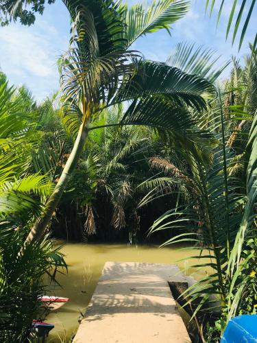a palm tree and a path in the water at Ba Danh Homestay & Kitchen - Ben Tre Mekong in Ben Tre