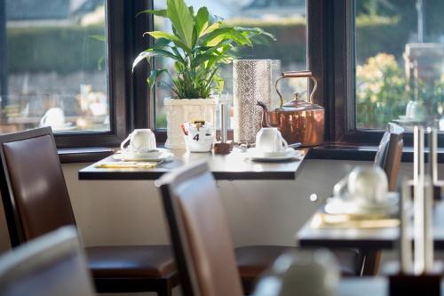 una mesa con sillas y una planta en una habitación con ventana en Conifers Guest House, en Oxford