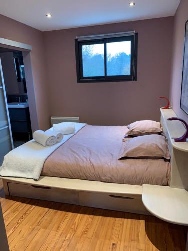 Giường trong phòng chung tại Lumineux T2B a Mont de Marsan