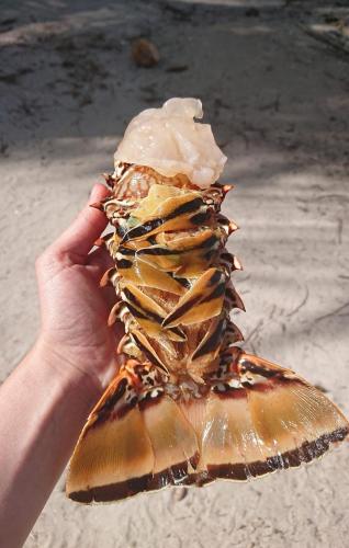 a hand holding a shell with ice cream in it at Play to Live San Blas in El Porvenir