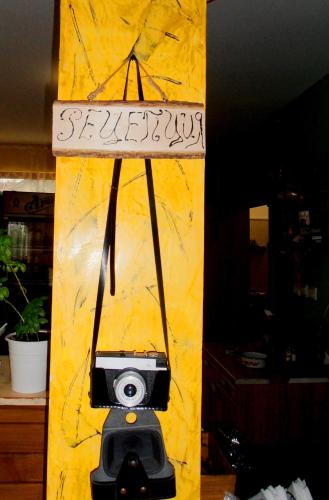 Фотография из галереи Guest House Misha в городе Petrevene