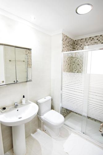 a bathroom with a toilet and a sink and a shower at Barrón 21 in Logroño