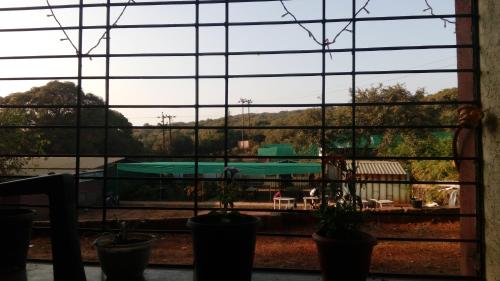 a view of a pool from a window with potted plants at Bluebell Residency in Mahabaleshwar