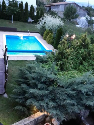 a swimming pool in a yard with a pine tree at Vila Sani in Sarajevo