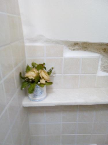 a vase of flowers sitting on a shelf in a bathroom at Trulletto dei sogni in Alberobello