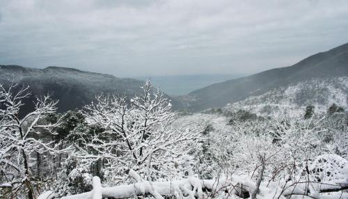 a snow covered forest with mountains in the background at Hotel 5 Terre Nel Sole in Deiva Marina