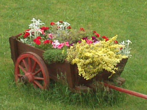 a wooden cart filled with flowers in the grass at Vila Sani in Sarajevo