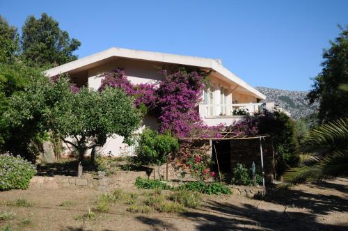 Casa Le Vigne IUN P2176
