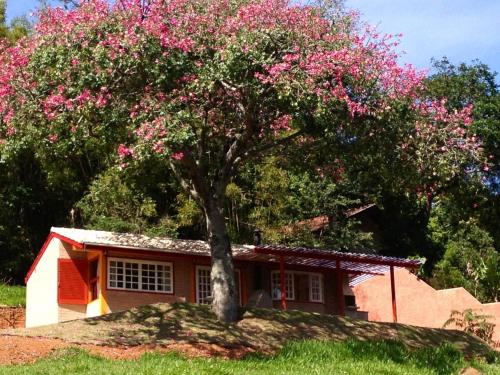 a tree in front of a house with pink flowers at Pousada Chalés da Casa Centenária in Santo Antônio do Pinhal