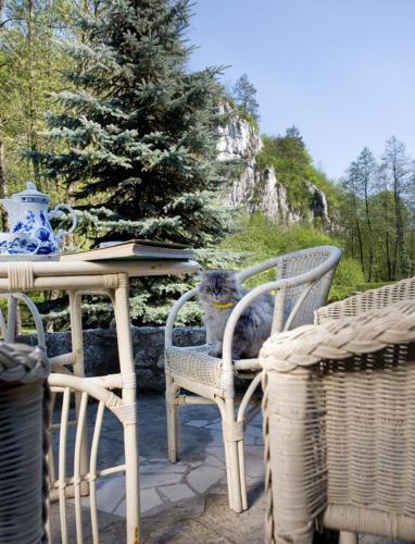 a bird sitting in a chair next to a table at Agroturystyka SPA in Zelków