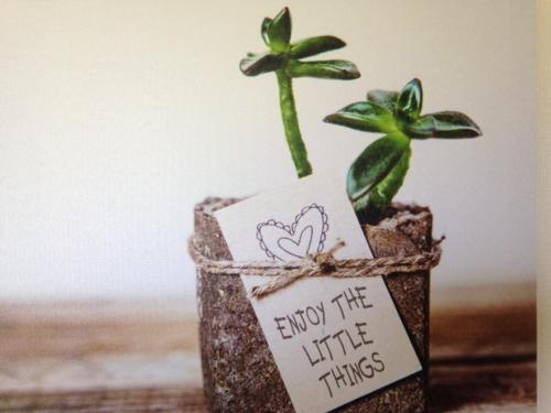 a small plant in a pot with a sign at Holiday rentals in Velsen-Zuid
