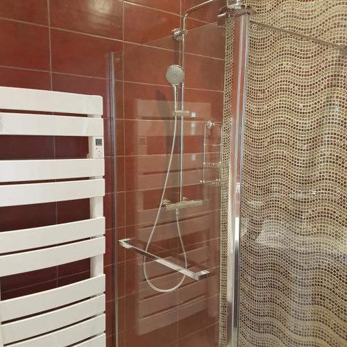 a shower in a bathroom with brown tile at La table de Pierre in Lussas-et-Nontronneau