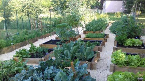 a garden filled with lots of lettuces and vegetables at La table de Pierre in Lussas-et-Nontronneau