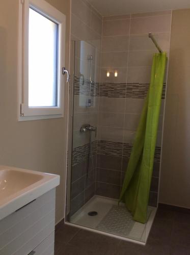 uma casa de banho com um chuveiro com uma cortina de chuveiro verde em Les Écorchoux c'est chou em Tossiat