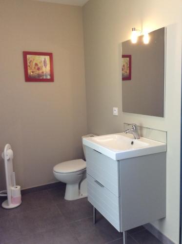 a bathroom with a sink and a toilet and a mirror at Les Écorchoux c'est chou in Tossiat
