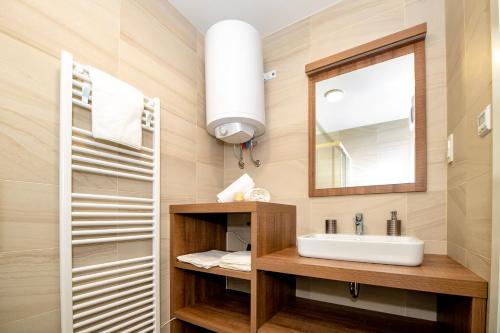 Apartmaji "La vie est belle" Kranjska Gora tesisinde bir banyo