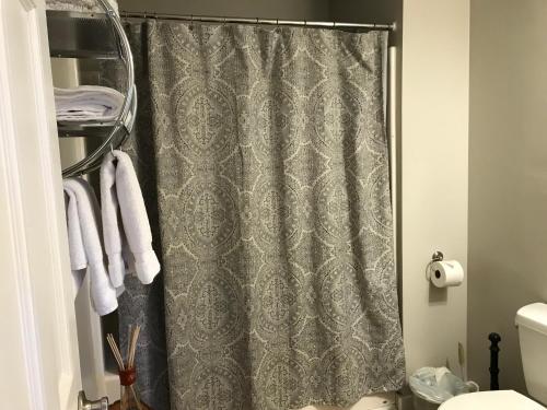 a bathroom with a shower curtain and a toilet at Barefoot Hills in Dahlonega