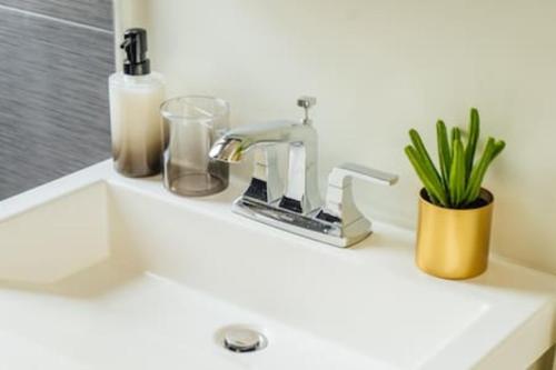 a bathroom sink with a faucet and a plant at Convenient & Newly Decorated 1BR Apartment - Roscoe 1D in Chicago